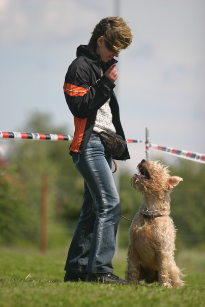 štěkání na povel