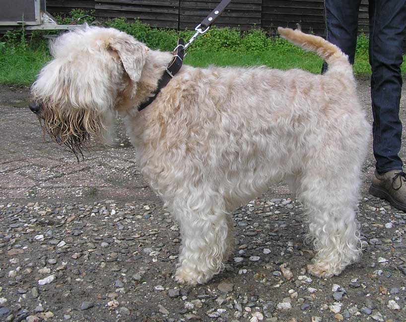 Hugo, 2010